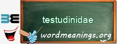 WordMeaning blackboard for testudinidae